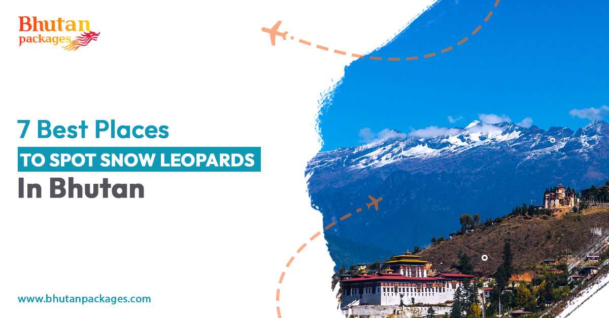Spotting snow leopards in the Himalayas of Bhutan with Bhutan Packages.